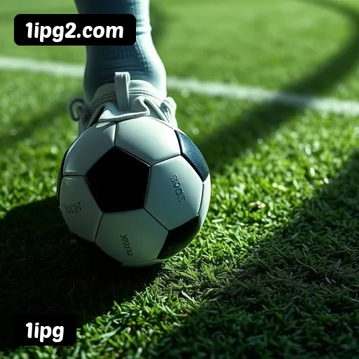 Requisitos do APK da 1ipg para Android